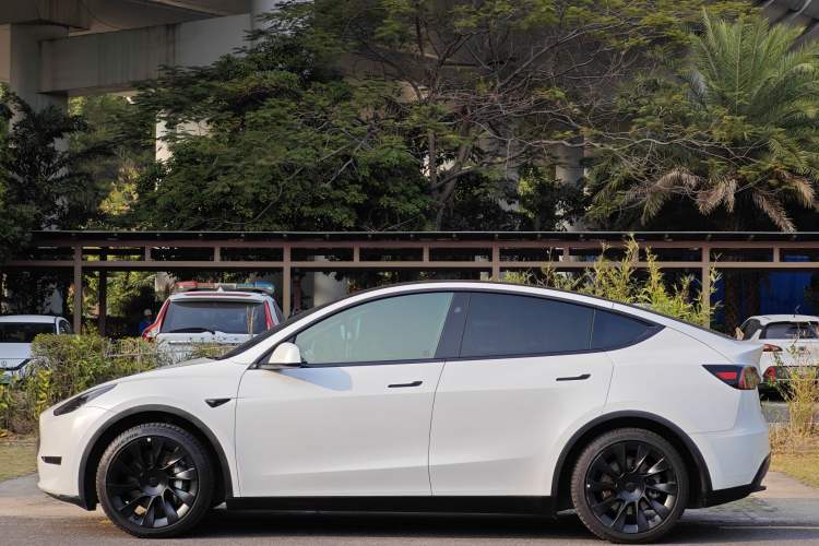 Used Tesla Model Y 2024 Rear-Wheel-Drive Version Exterior 7