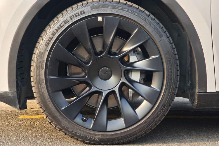 Used Tesla Model Y 2024 Rear-Wheel-Drive Version Exterior 8