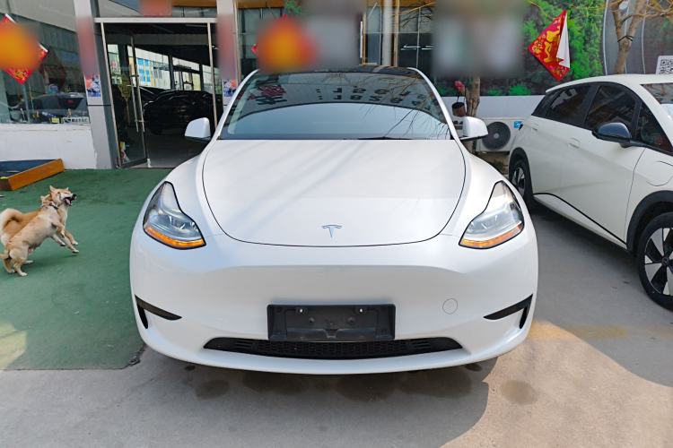 Used Tesla Model Y 2024 Rear-Wheel-Drive Version Front