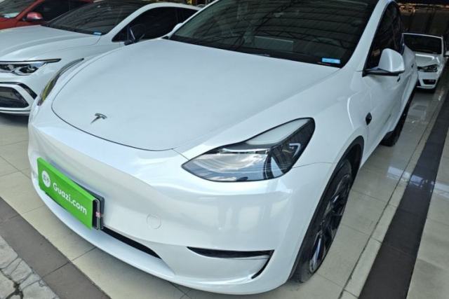 Used Tesla Model Y 2024 Long-Range All-Wheel-Drive Version