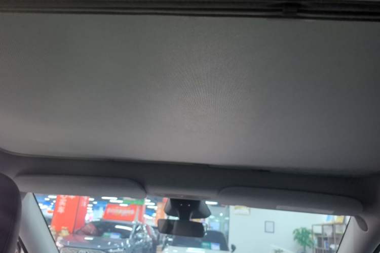 Used Tesla Model Y 2024 Rear-Wheel-Drive Version Headliner