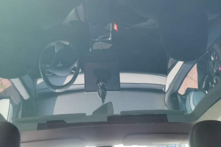 Used Tesla Model Y 2024 Rear-Wheel-Drive Version Headliner