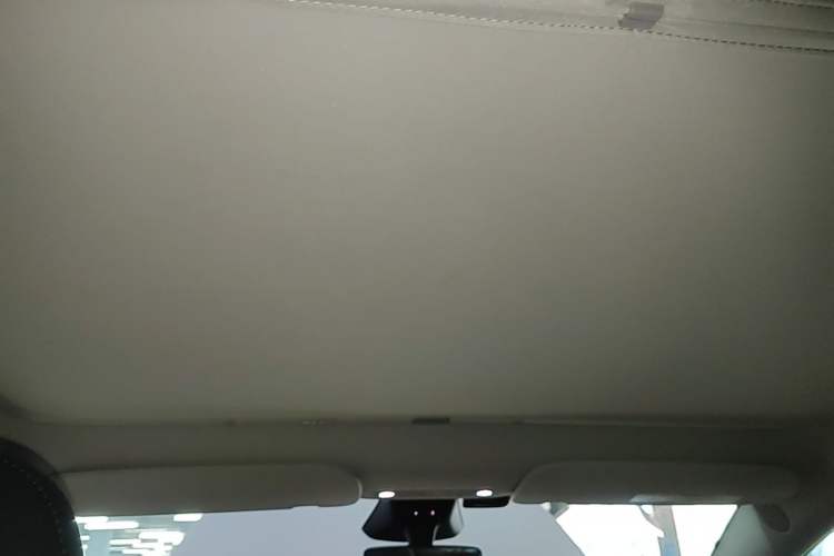 Used Tesla Model Y 2024 Rear-Wheel-Drive Version Headliner