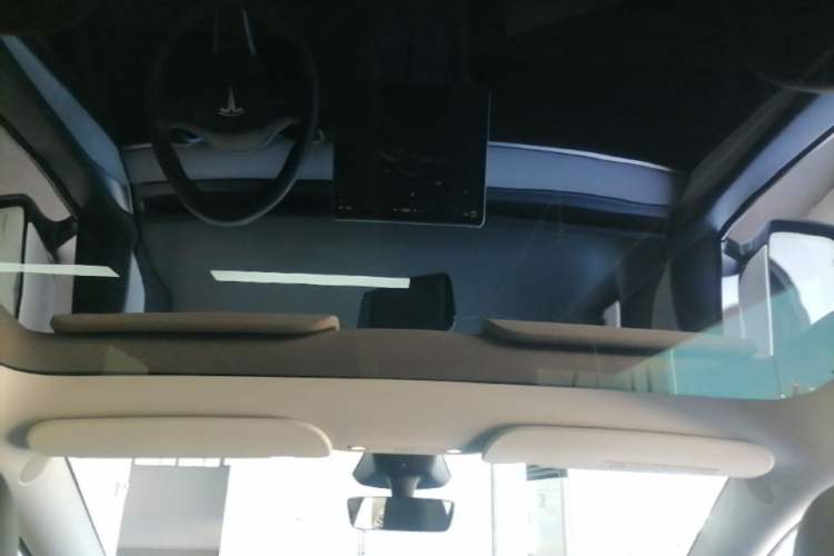 Used Tesla Model Y 2024 Rear-Wheel-Drive Version Headliner