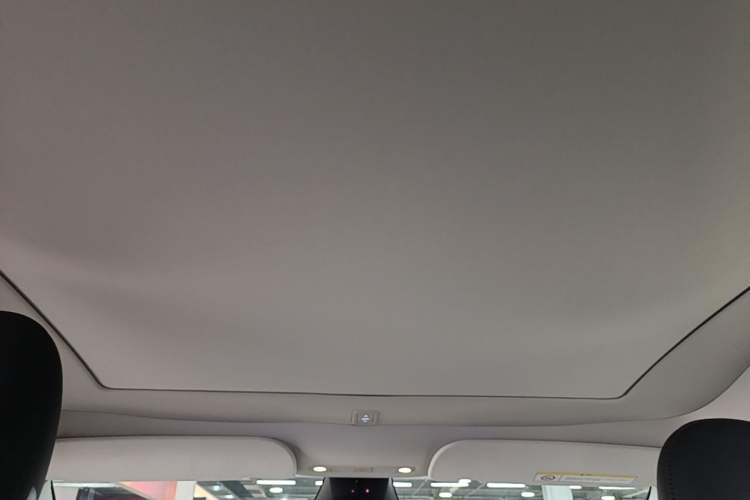 Used Tesla Model Y 2024 Rear-Wheel-Drive Version Headliner