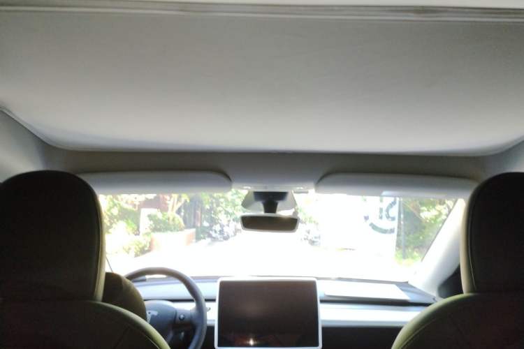 Used Tesla Model Y 2024 Long-Range All-Wheel-Drive Version Headliner