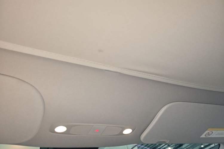 Used Tesla Model Y 2024 Rear-Wheel-Drive Version Headliner