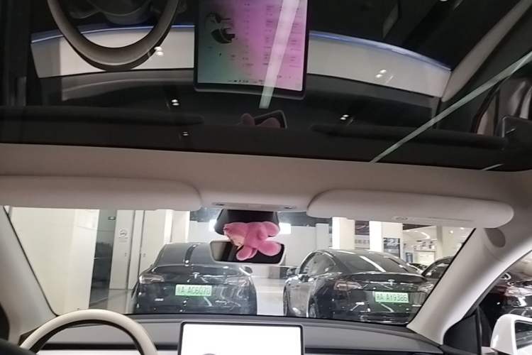 Used Tesla Model Y 2024 Rear-Wheel-Drive Version Headliner