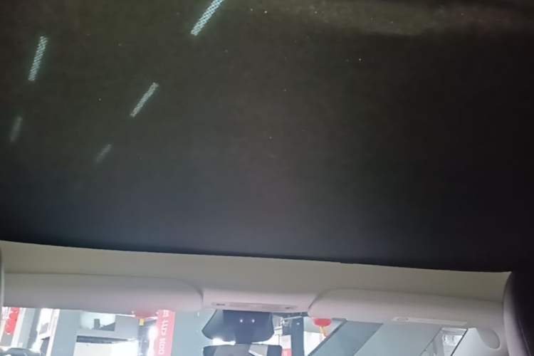 Used Tesla Model Y 2024 Rear-Wheel-Drive Version Headliner