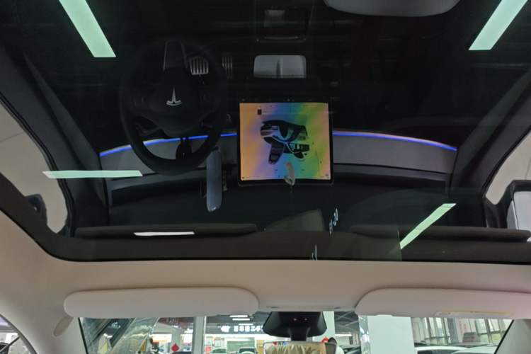 Used Tesla Model Y 2024 Performance High-Performance Edition Headliner