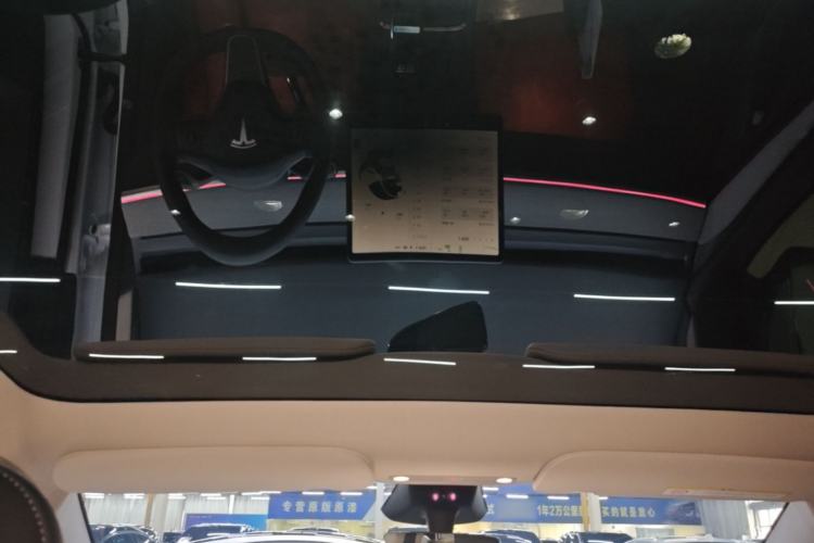 Used Tesla Model Y 2024 Rear-Wheel-Drive Version Headliner