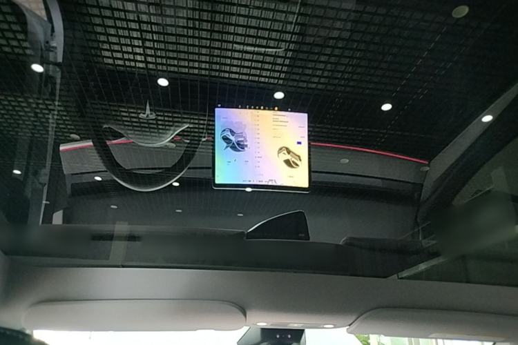 Used Tesla Model Y 2024 Long-Range All-Wheel-Drive Version Headliner