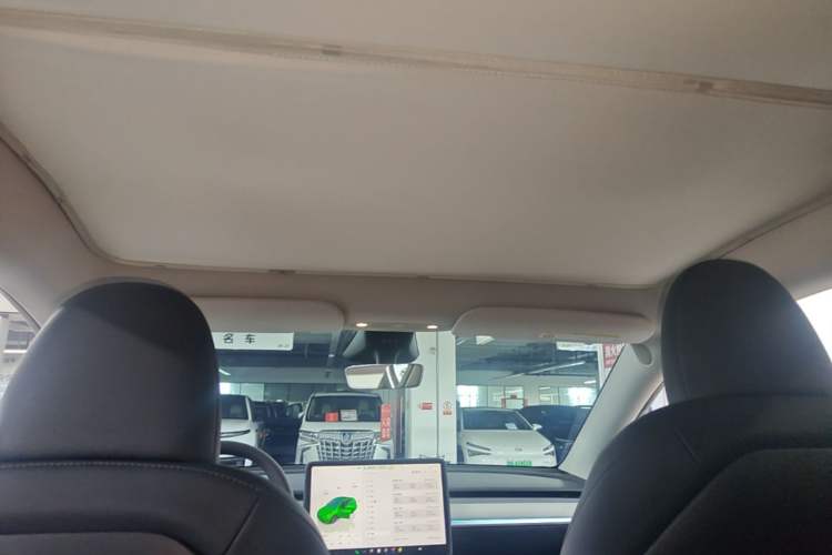 Used Tesla Model Y 2024 Long-Range All-Wheel-Drive Version Headliner
