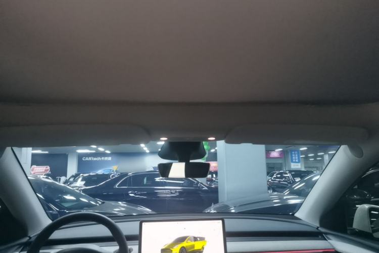 Used Tesla Model Y 2024 Rear-Wheel-Drive Version Headliner