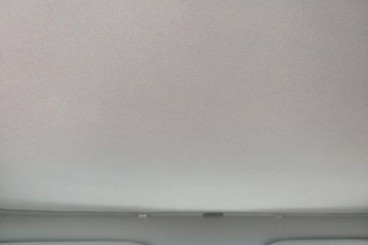 Used Tesla Model Y 2024 Rear-Wheel-Drive Version Headliner
