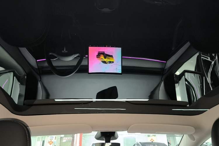 Used Tesla Model Y 2024 Rear-Wheel-Drive Version Headliner