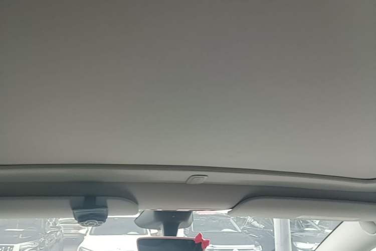 Used Tesla Model Y 2024 Rear-Wheel-Drive Version Headliner