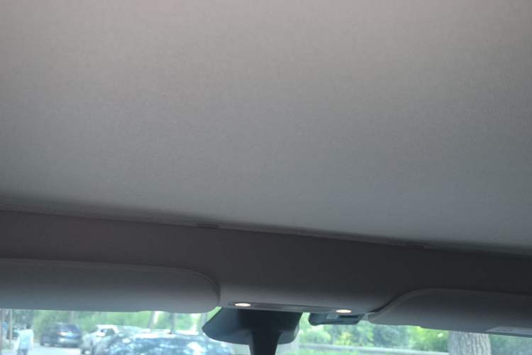 Used Tesla Model Y 2024 Rear-Wheel-Drive Version Headliner