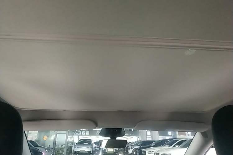 Used Tesla Model Y 2024 Rear-Wheel-Drive Version Headliner