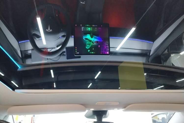 Used Tesla Model Y 2024 Rear-Wheel-Drive Version Headliner