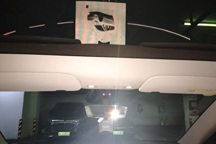 Used Tesla Model Y 2024 Rear-Wheel-Drive Version Headliner