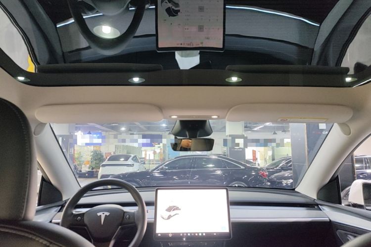 Used Tesla Model Y 2024 Rear-Wheel-Drive Version Headliner