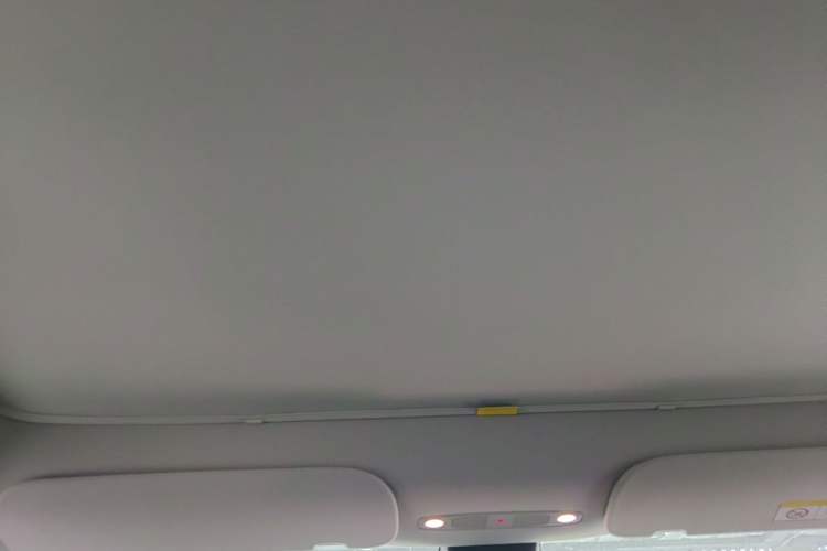 Used Tesla Model Y 2024 Rear-Wheel-Drive Version Headliner