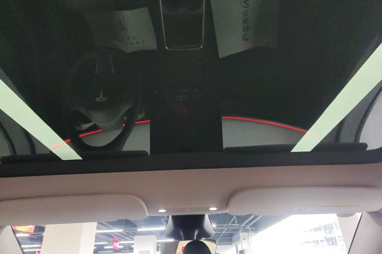 Used Tesla Model Y 2024 Rear-Wheel-Drive Version Headliner