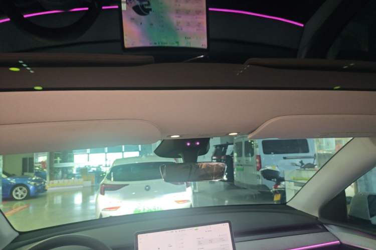 Used Tesla Model Y 2024 Rear-Wheel-Drive Version Headliner