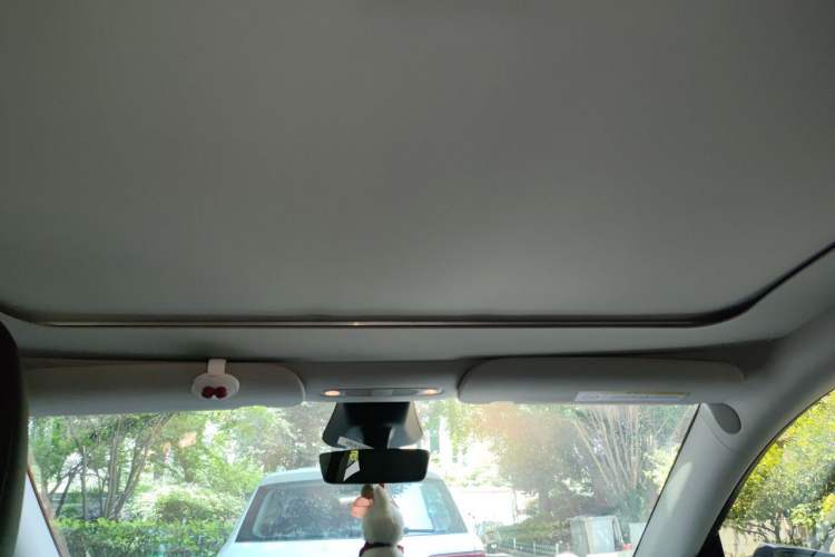 Used Tesla Model Y 2024 Rear-Wheel-Drive Version Headliner