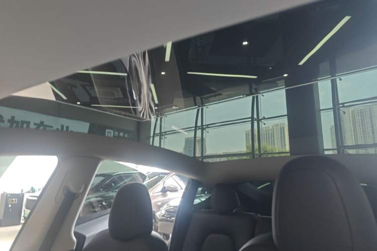 Used Tesla Model Y 2024 Rear-Wheel-Drive Version Headliner