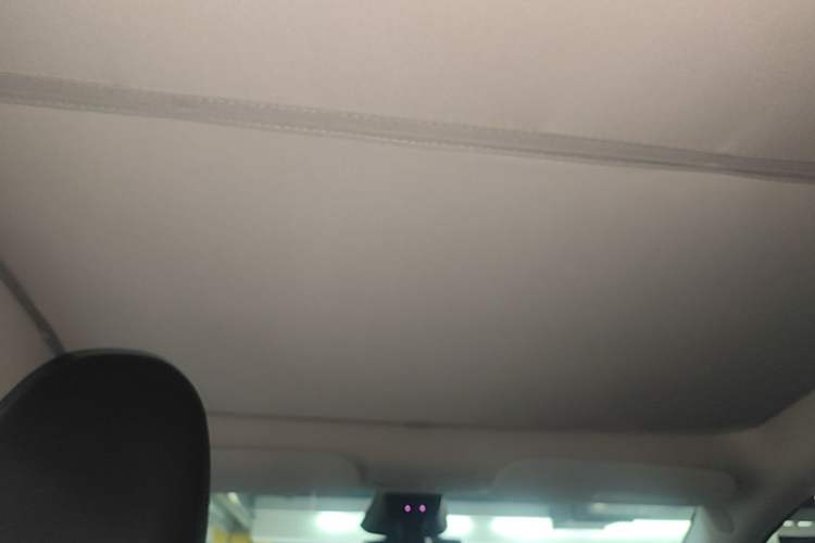 Used Tesla Model Y 2024 Rear-Wheel-Drive Version Headliner