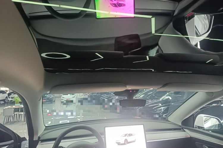 Used Tesla Model Y 2024 Rear-Wheel-Drive Version Headliner