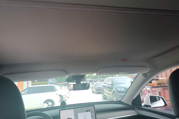 Used Tesla Model Y 2024 Rear-Wheel-Drive Version Headliner