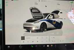 Thumbnail 12