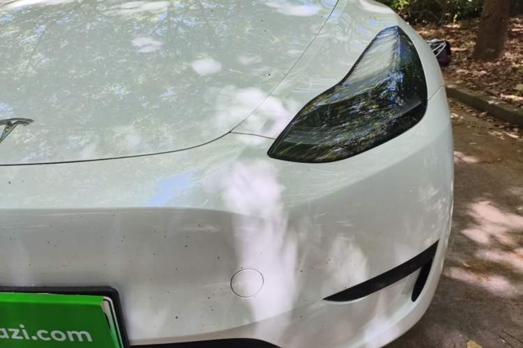 Used Tesla Model Y 2024 Rear-Wheel-Drive Version Left Front Headlight