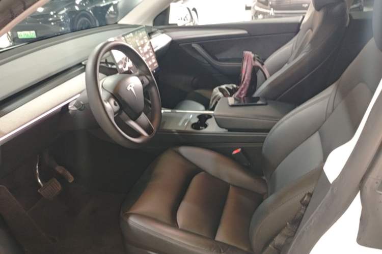 Used Tesla Model Y 2024 Rear-Wheel-Drive Version Left Front Seat