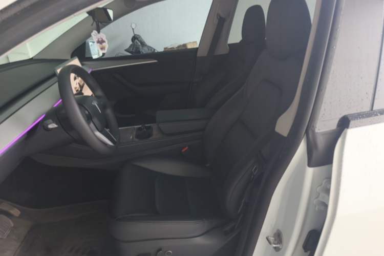 Used Tesla Model Y 2024 Rear-Wheel-Drive Version Left Front Seat