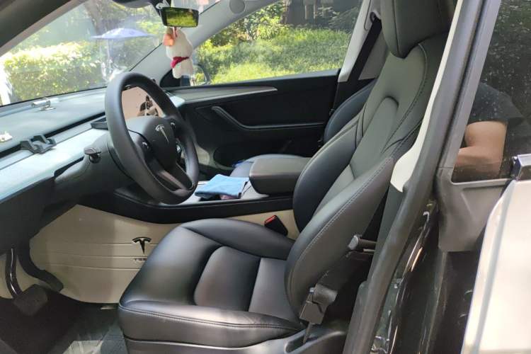 Used Tesla Model Y 2024 Rear-Wheel-Drive Version Left Front Seat