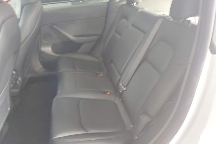 Used Tesla Model Y 2024 Rear-Wheel-Drive Version Left Rear Seat