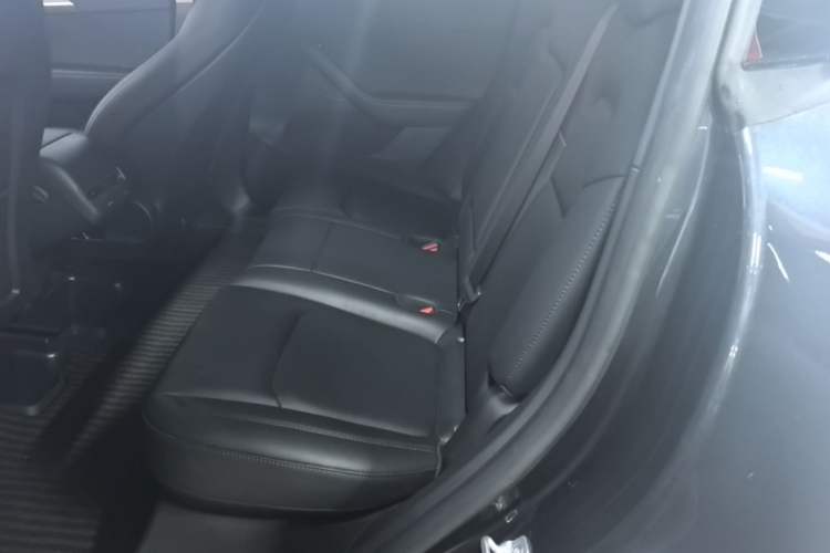 Used Tesla Model Y 2024 Rear-Wheel-Drive Version Left Rear Seat