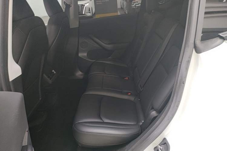 Used Tesla Model Y 2024 Rear-Wheel-Drive Version Left Rear Seat