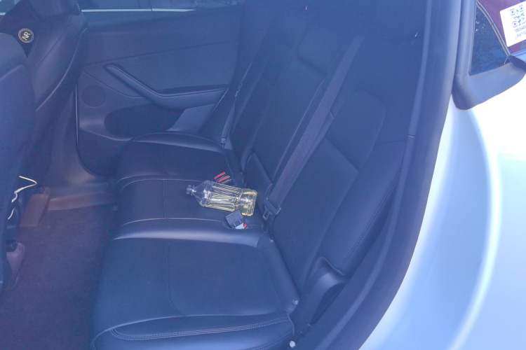 Used Tesla Model Y 2024 Rear-Wheel-Drive Version Left Rear Seat
