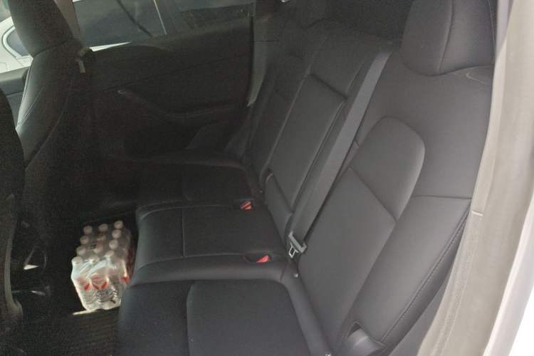 Used Tesla Model Y 2024 Rear-Wheel-Drive Version Left Rear Seat