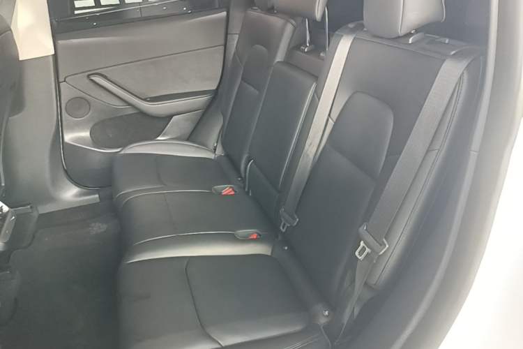 Used Tesla Model Y 2024 Rear-Wheel-Drive Version Left Rear Seat