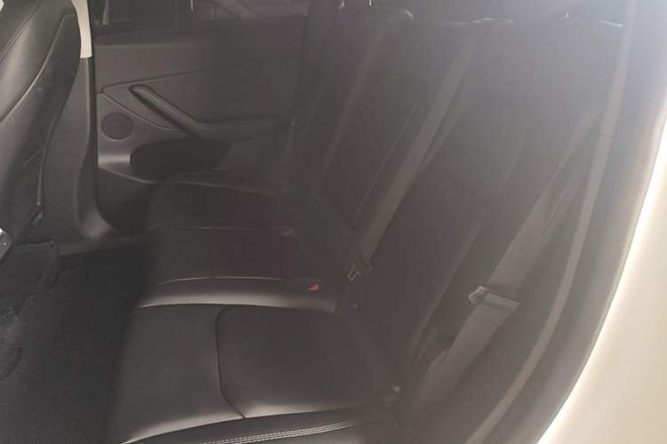 Used Tesla Model Y 2024 Rear-Wheel-Drive Version Left Rear Seat