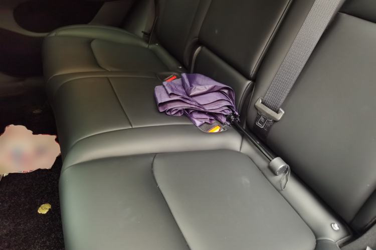 Used Tesla Model Y 2024 Rear-Wheel-Drive Version Left Rear Seat
