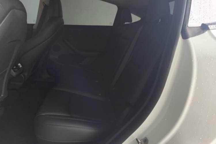 Used Tesla Model Y 2024 Rear-Wheel-Drive Version Left Rear Seat