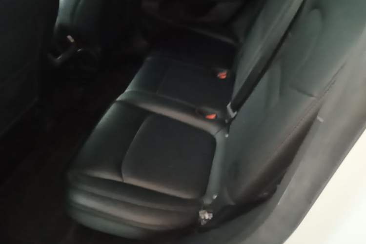 Used Tesla Model Y 2024 Rear-Wheel-Drive Version Left Rear Seat