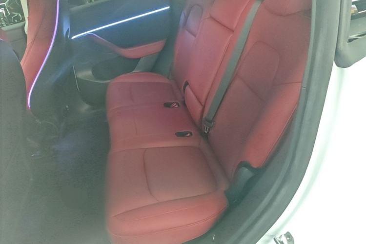 Used Tesla Model Y 2024 Long-Range All-Wheel-Drive Version Left Rear Seat